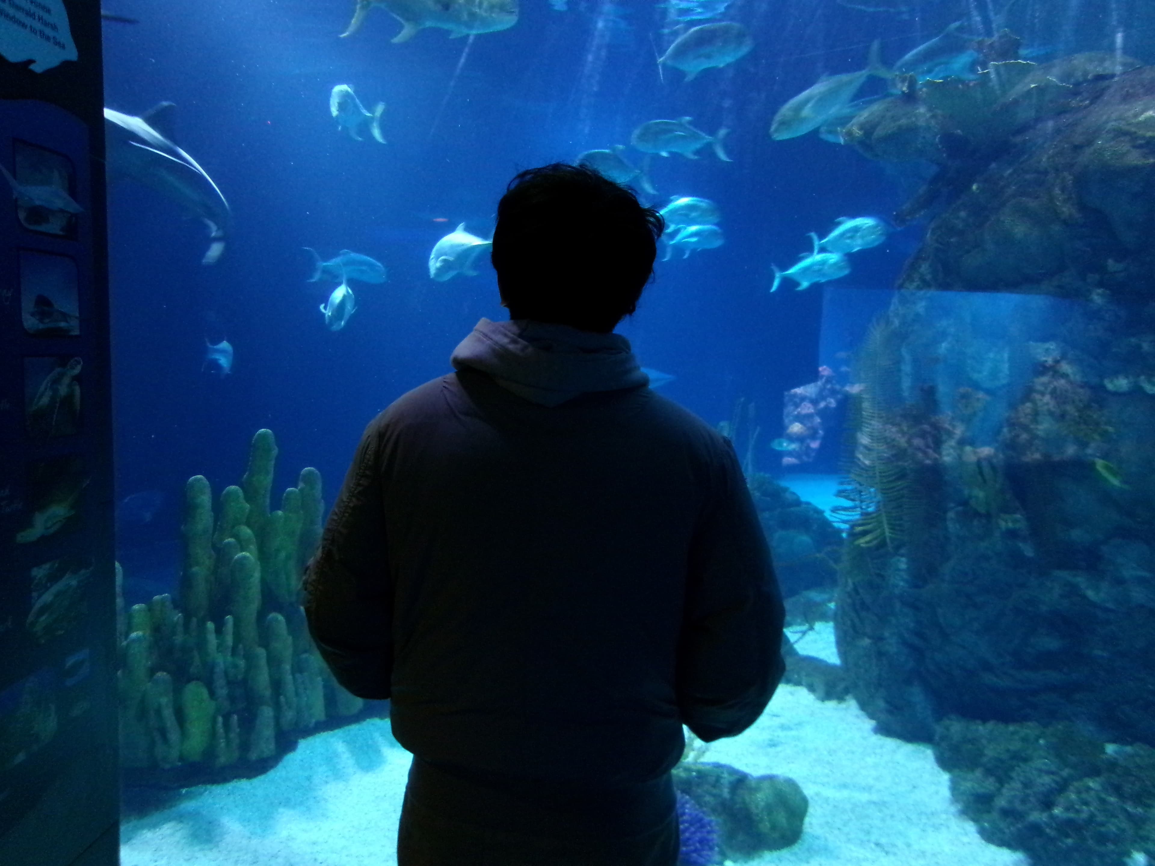 Henry Doorly Zoo in Omaha